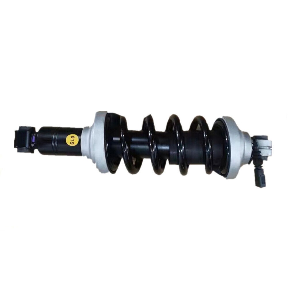 Audi R8 2016-2021 REAR Shock absorber