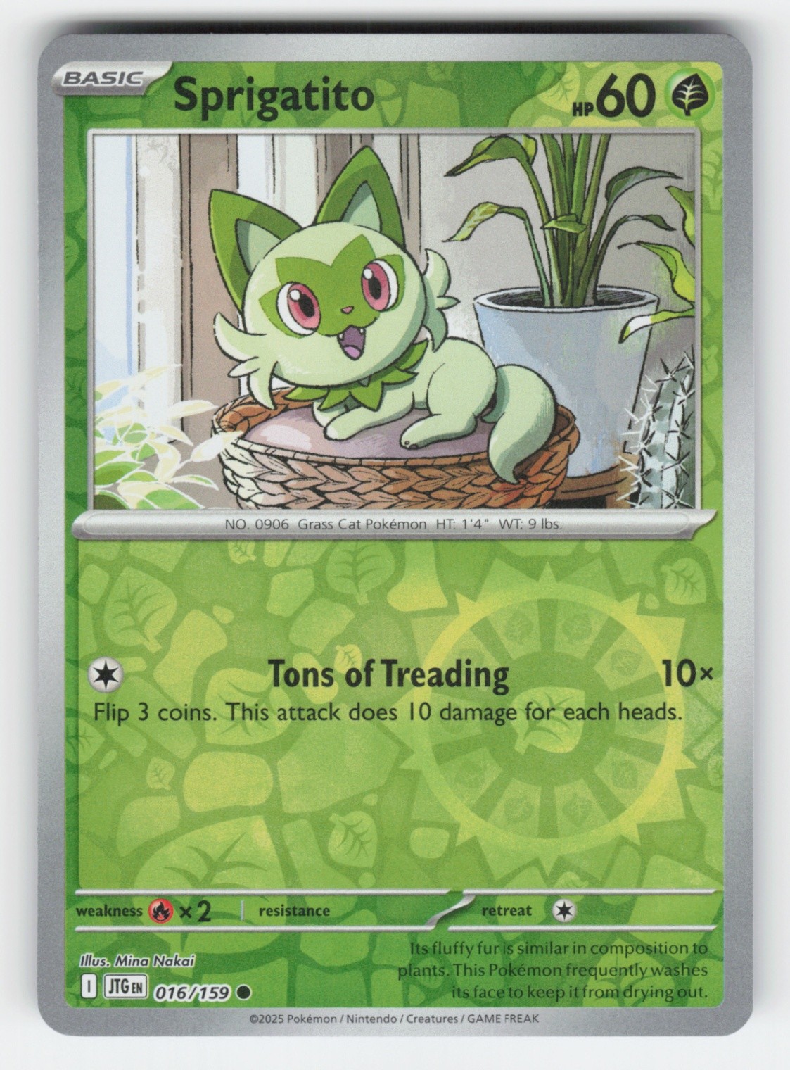 Sprigatito 016/159 NM Reverse Holofoil JTG SV09: Journey Together
