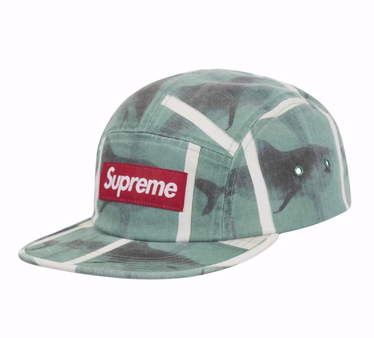 Supreme Damien Hirst Shark キャンプ キャップ 帽子 Supreme Damien Hirst Shark Box Logo 5 Panel Camp Cap Hat Brand New