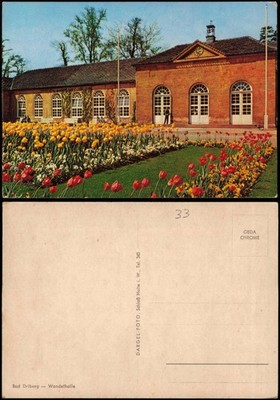 Ansichtskarte Bad Driburg Blumen Beet a.d. Wandelhalle 1970