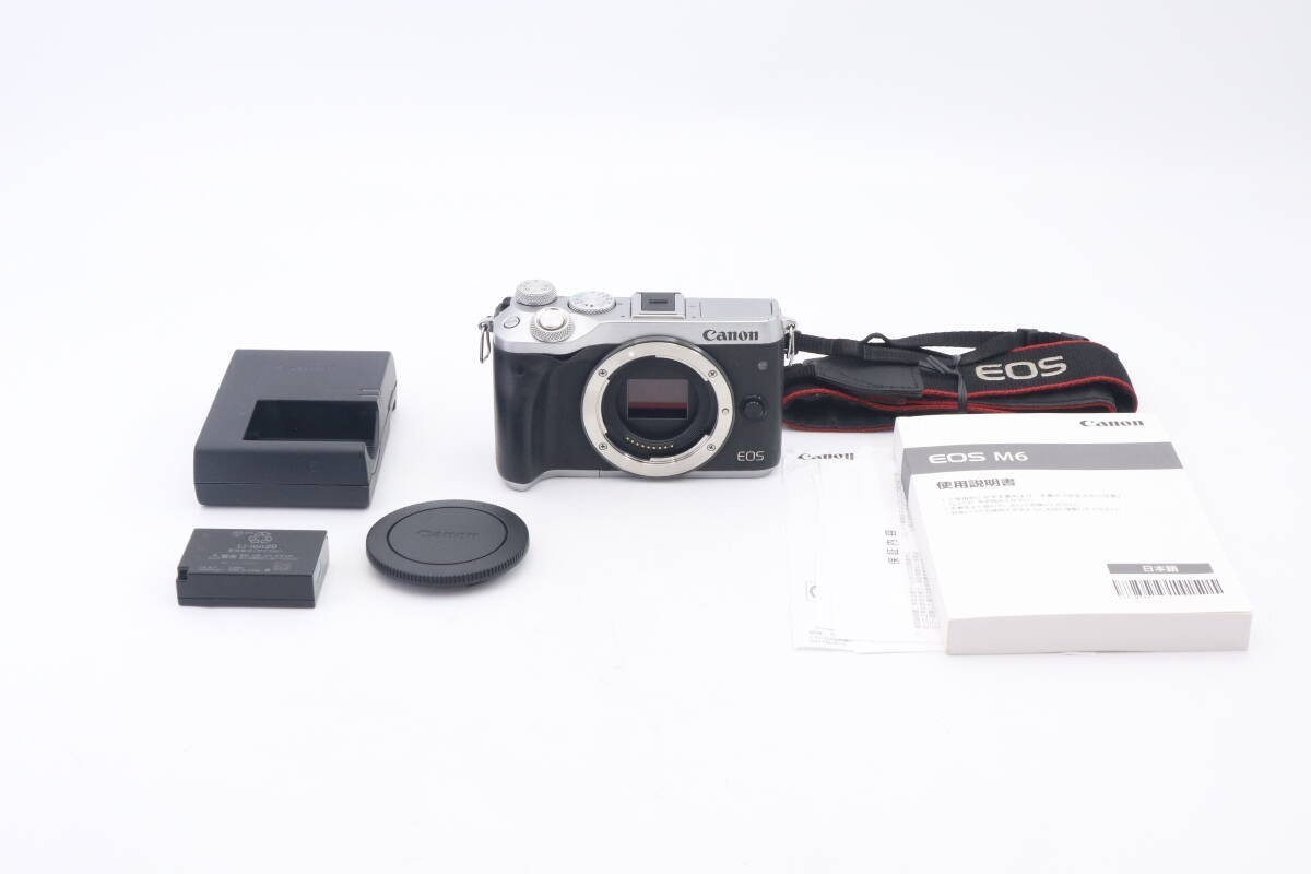 Canon EOS M6 Mirrorless Camera (Silver) Working