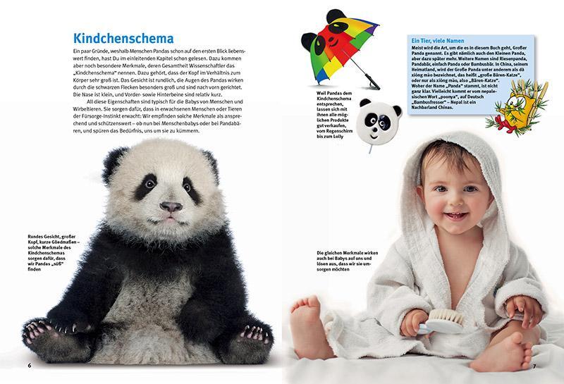 Thumbnail - Entdecke Die Pandas Eveline Dungl