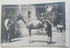 CARTOLINA GRAN PREMIO TROTTO MILANO CORSA CAVALLI TROTTER CHARMER CARTE POSTALE