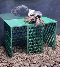 Hermit Crab Climbing Stand Tank Ornament Hide Cave Toys Accessories Supplies