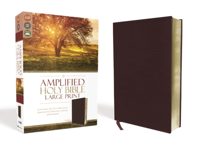 Amplified Holy Bible, Large Print, Bonded Leather, Burgundy: Captures the Full - Image 3
