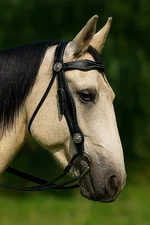 Concho Western BRIDLE - Headstall With reins - AE-HS72