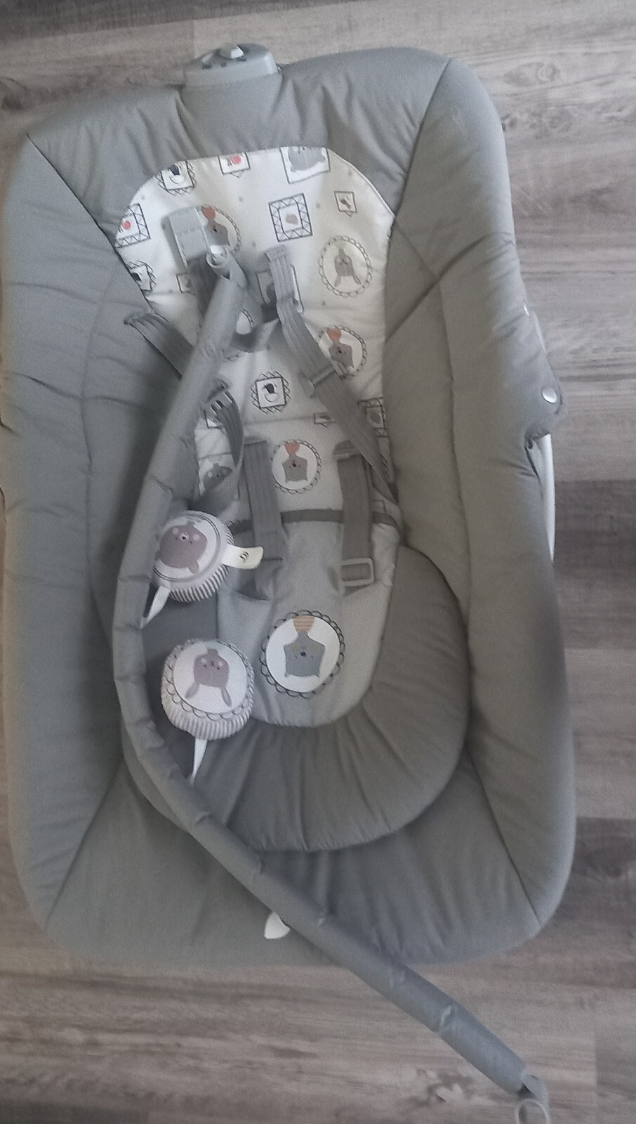 Baby Bouncer eBay