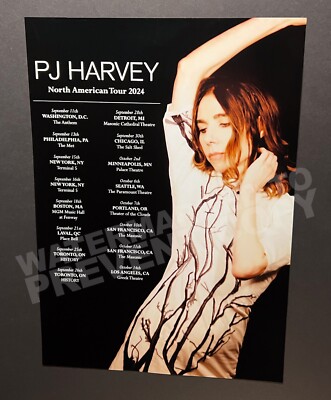 PJ Harvey 2024 Tour Concert Promo Poster | eBay