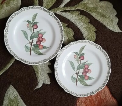 Noritake Royal Orchard Primachina Salad Bread Plates #9416 Fruit Set Lot Of 2 B