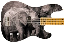 Guitar Skin Axe Wrap Re-skin Bass Reface DIY Poor Lonely Elephants 1479