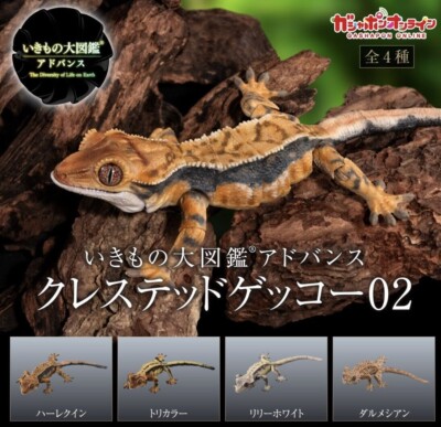 GECKO ゲッコー カホン CRESTED GECKO Gecko Reptile Gachapon Toy From Japan - NEW RELEASE