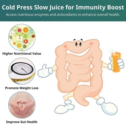Relax-centric Juicer Machines, Slow Masticating Juicer Orange - Picture 7 of 10