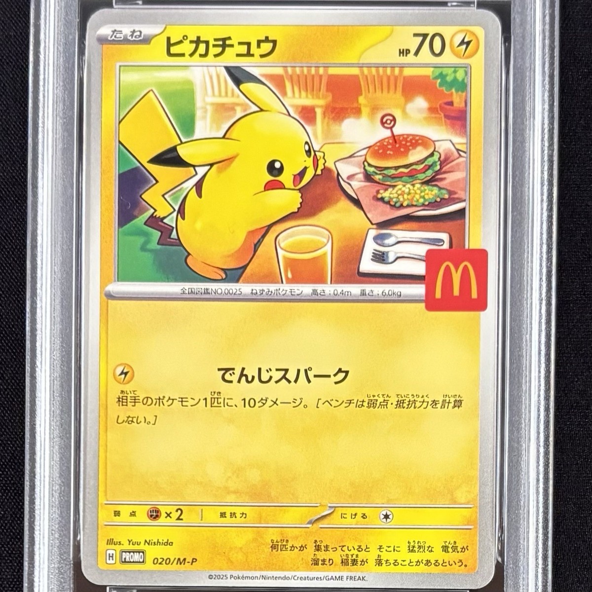 PSA 10 GEM MINT 