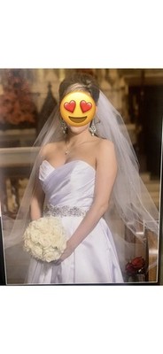 Sara Gabriel  Stacy  Custom Made Cathedral Length Veil With Swarkovsky Crystals