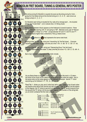Mandolin Fret Board, Tuning & General Info Poster