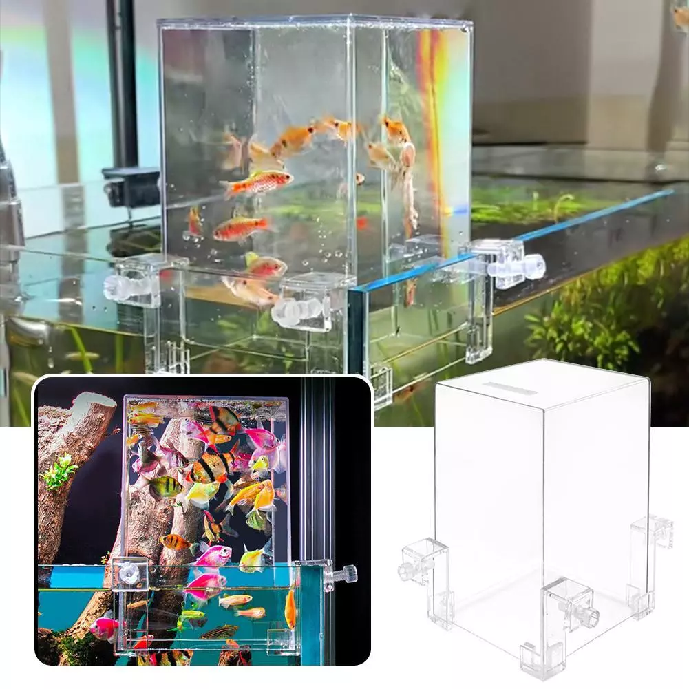 Multi level fish clearance tank
