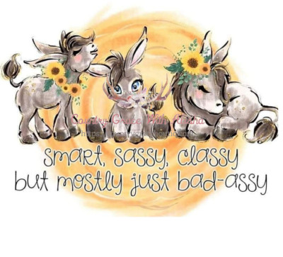 Sublimation Print Design Smart Sassy Donkey Ready to Press Heat Transfer