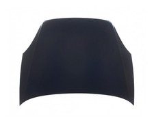 Motorhaube für Fiat Linea 323 110 ab 07->