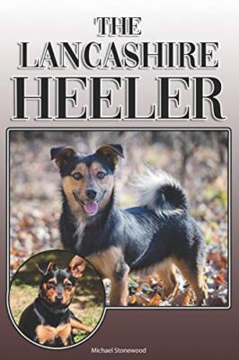 The Lancashire Heeler: A Complete and Comprehensive Owners Guide