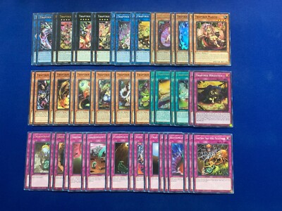 Yu-Gi-Oh! - Complete Traptrix & Trap Hole Deck