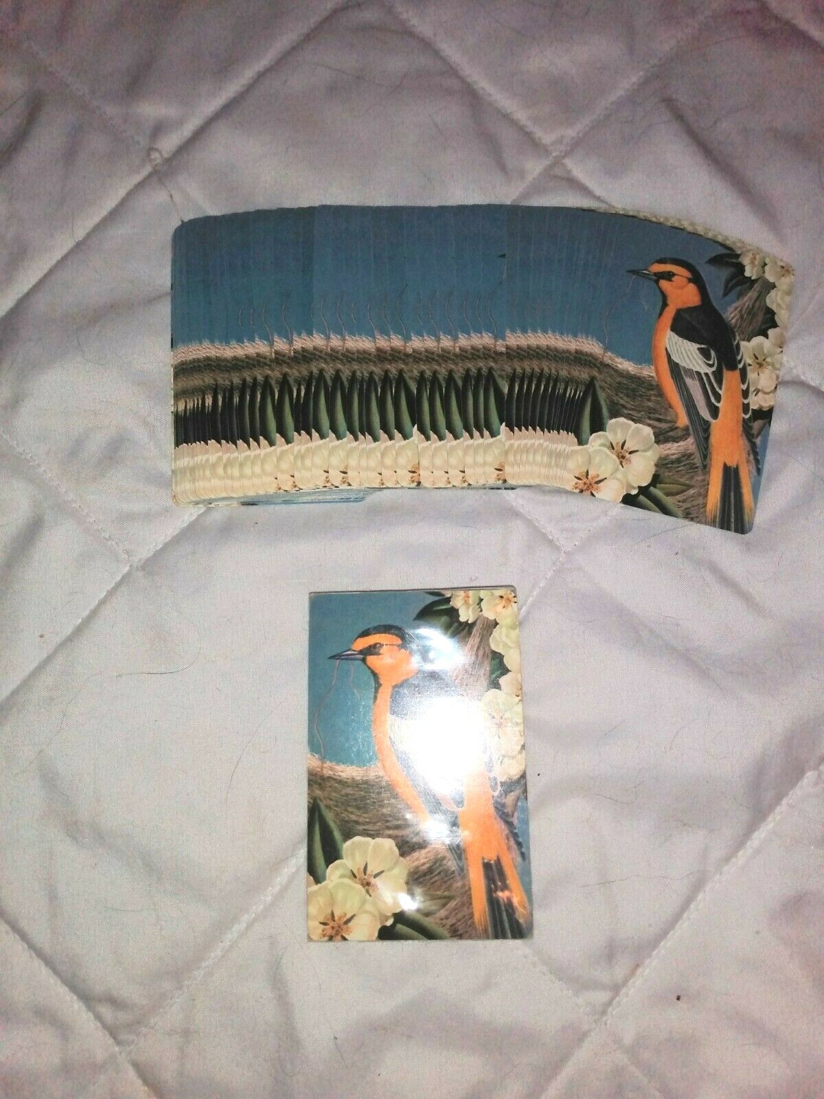 Picture 2 of 6