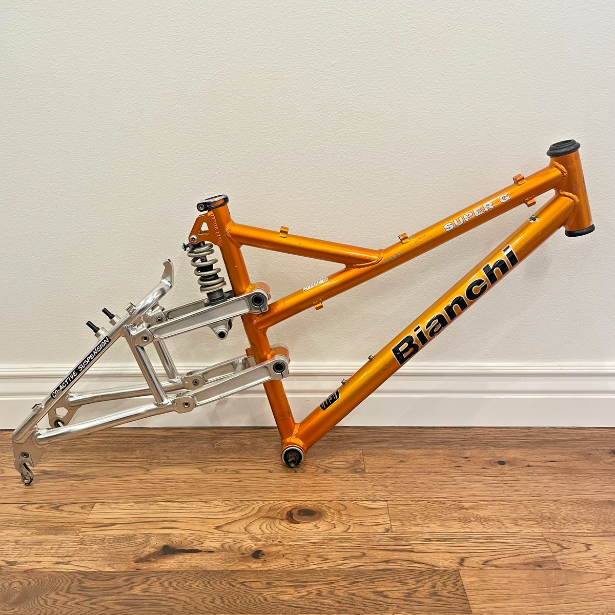 Bianchi Super G Mountain Bike Frame Rock Shox 18