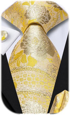 Mens Paisley Striped Tie WOVEN Necktie for Men and Handkerchief Cufflinks Set We