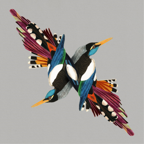 Shire T Tomorrow's People (CD) Album