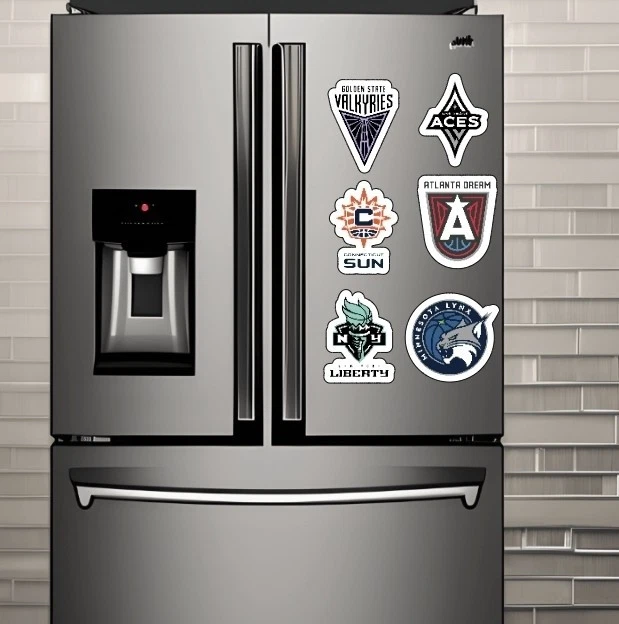 3" WNBA TEAM VINILO IMPERMEABLE/INTEMPERIE IMANES NEVERA! ¡EXENTO DE TARIFAS! Foto 2 de 2