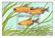 Sierra Leone unmounted mint minisheet - 1988 Fish of Sierra Leone