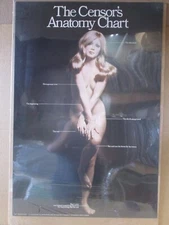 THE SENSOR'S ANATOMY CHART  1971 BAR GARAGE MAN CAVE HOT GIRL  CNG3228