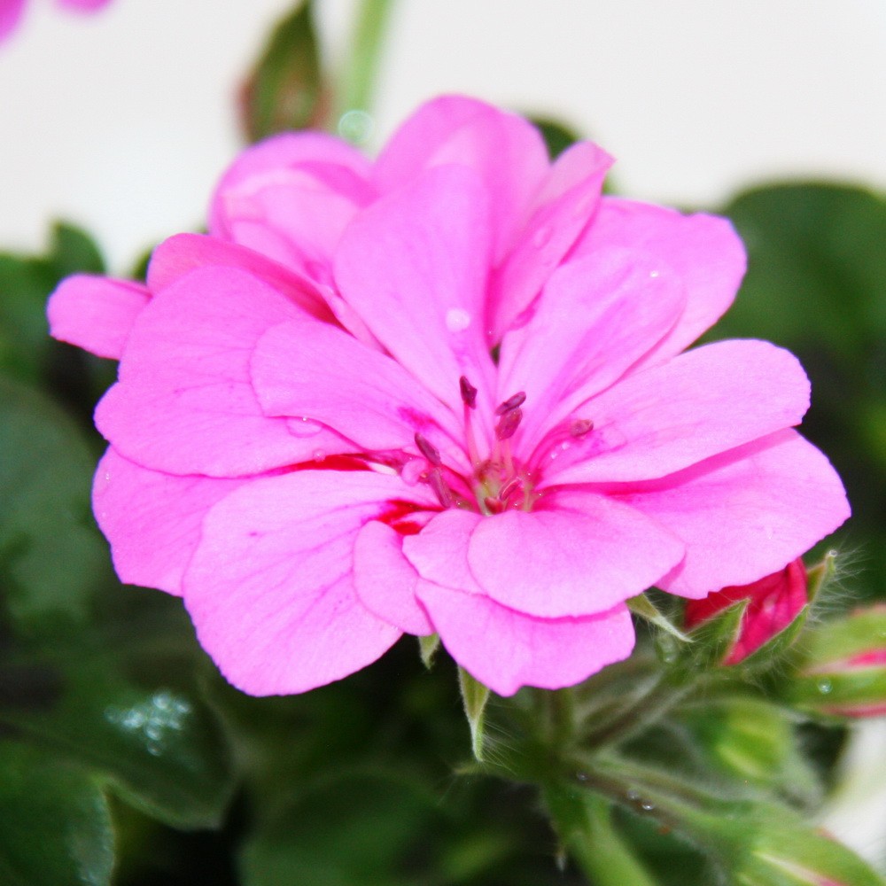 Bild 9 von 30