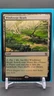 Magic The Gathering Khans of Tarkir Windswept Heath #248/269 MTG TCG CCG