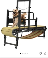 Pawpaw's Dog Treadmill for Large/medium Dogs.  Great Condition.