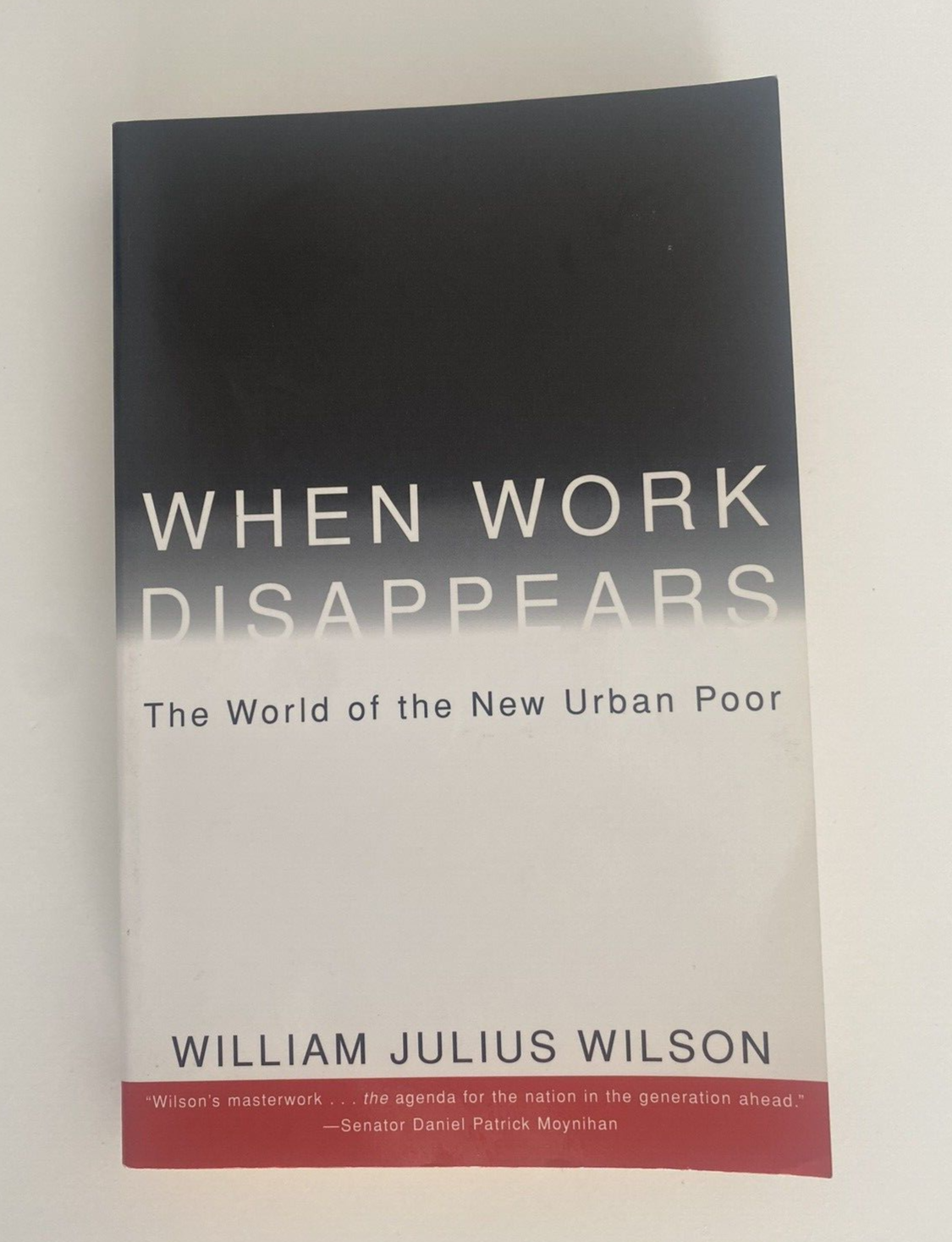 When Work Disappears: The World Of The New Urban Poor By William Julius Wilson