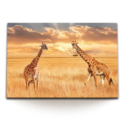 120x80cm Wandbild auf Leinwand Afrikanische Landschaft Steppe Giraffen