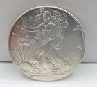 2014 American Silver Eagle 1 oz .999 Fine Silver $1 Coin