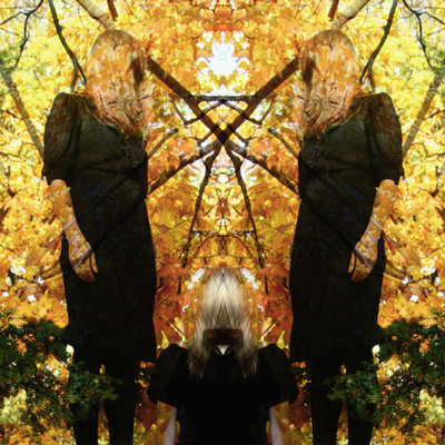 Austra Feel It Break Music CDs New