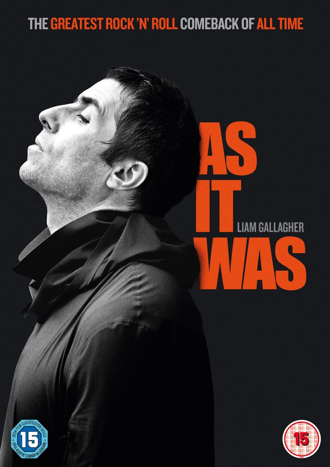 Liam Gallagher: As It Was (DVD) Liam Gallagher R2 New - Image 5