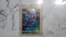 Riolu GG26/GG70 Crown Zenith: Galarian Gallery Holo