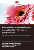 Mallikarjunagouda Patil (U. A.) | DéGradation Photocatalytique Des Colorants...