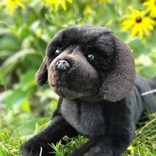 Auswella Black Floppy Labrador Retriever Cole- Plush Stuffed Animal