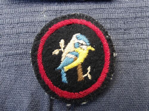 Lot of 13 Vintage 1960s Girl Guide Cloth Badges - Picture 5 of 23