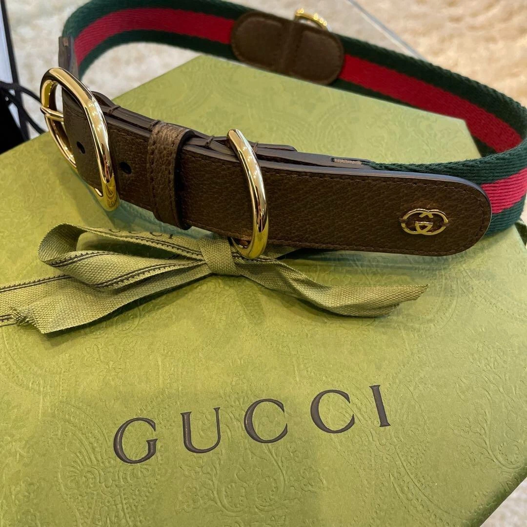 Web Stripe M L Faux Leather Dog Collar in Multicoloured - Gucci