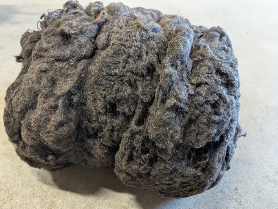 raw wool - Shetland fleece - gray/multicolor - felting - FREE SHIPPING - Image 2 of 3