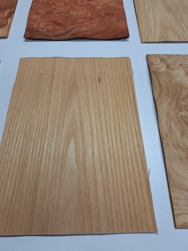 Wood Veneer Sample Pack - 10 PIECES 300mm x 210mm - for marquetry - Pack 209 - Picture 8 of 12