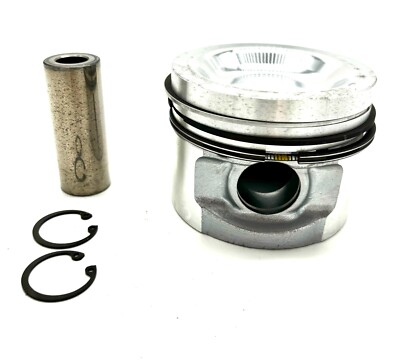 751-45090 Lister Streichkolben & Ringbaugruppe für LPWG 2/3/4 Zylinder Motoren
