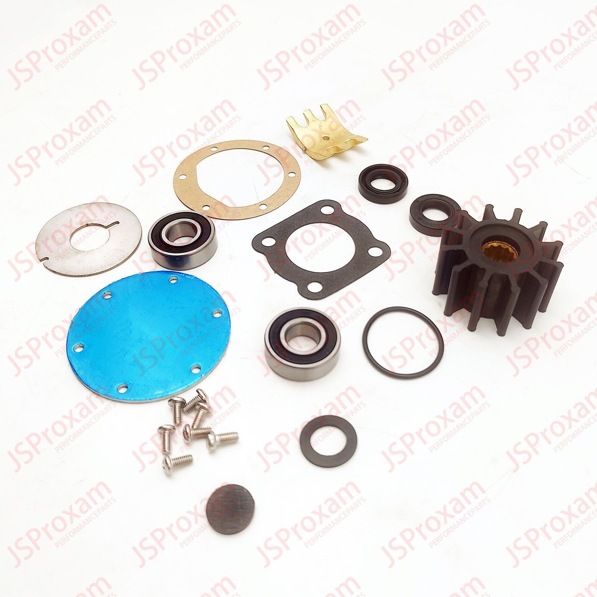 5850-0001 Major Repair Kit for Jabsco Pump 5850-41 Impeller Gasket Seals Bearings Plates | Malaysia