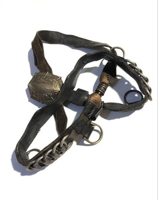 Early stage kmrii belt | eBay