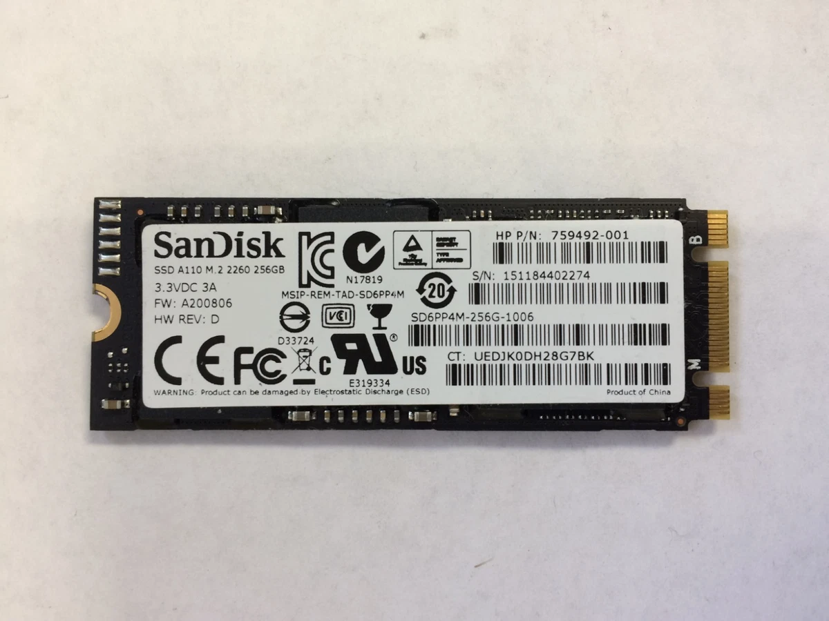 SanDisk M.2 Interface 256 GB Solid State Drives for sale | eBay